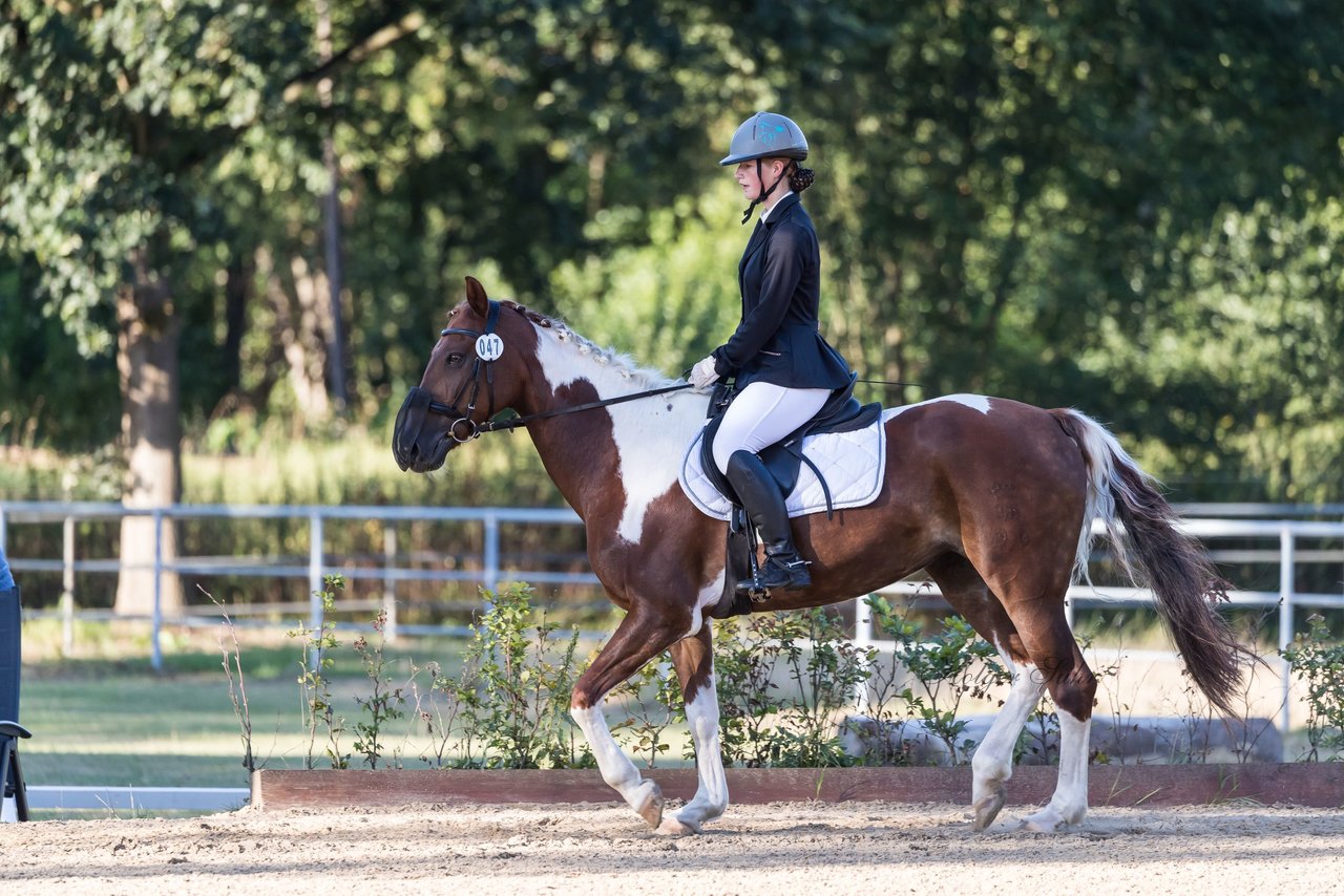 Bild 10 - Pony Akademie Turnier